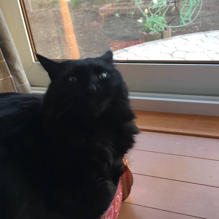 3b2a3e9e 1ac3 49f1 9e6a 91f188153cbb 1525430891419