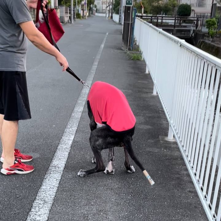 3b2a4286 5419 468f 9b30 e3f018743d1f 1663282224400