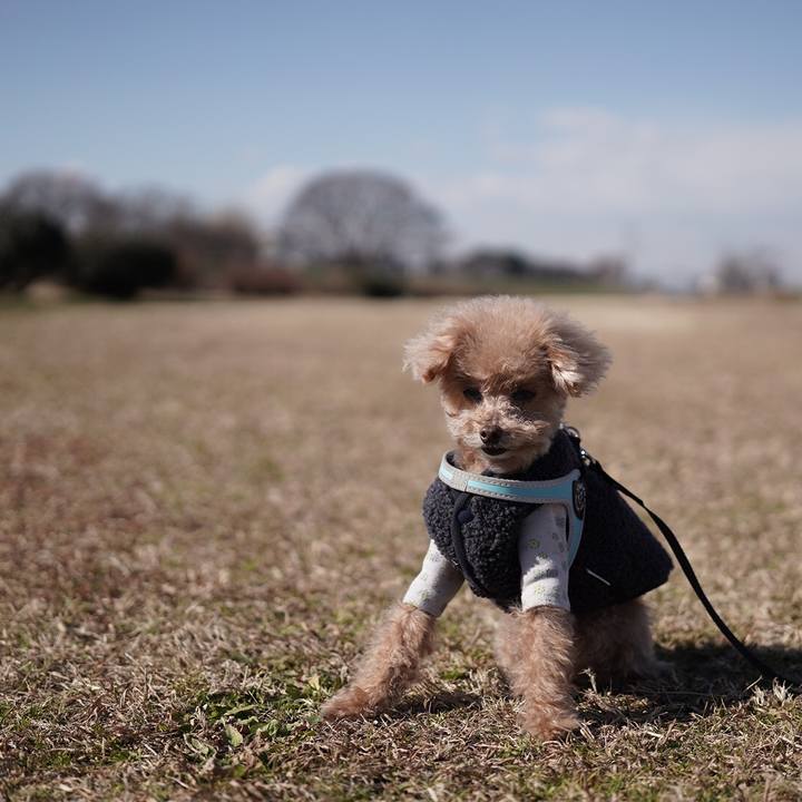 3b2a8afc 8be6 4eea aa97 2d2bfd37d448 1697114253380