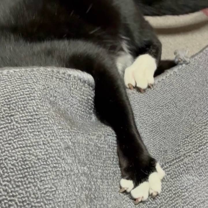 3b2a9897 c9ee 4eda bb1b 3b24d6fab681 1763893371083