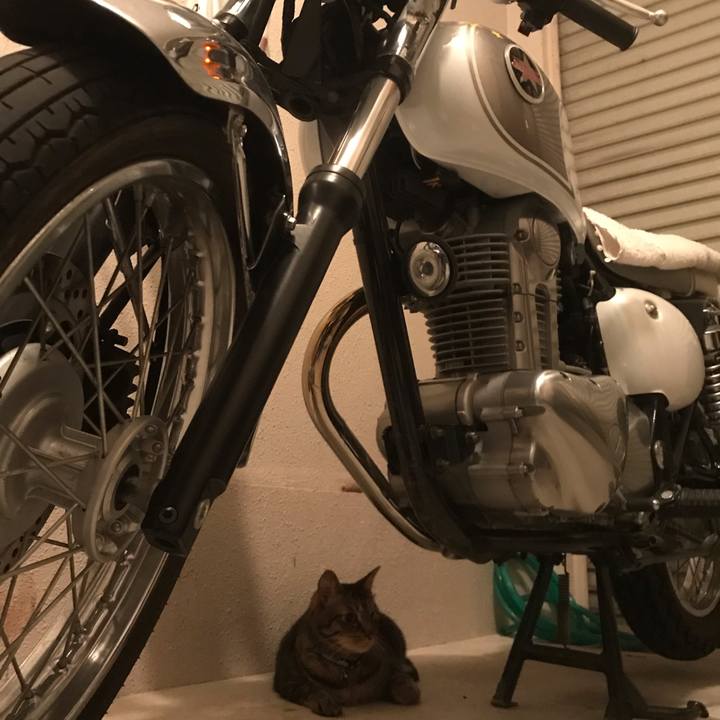 3b2a9bc6 c505 4807 83b4 1b9d9f72612f 1561737214987