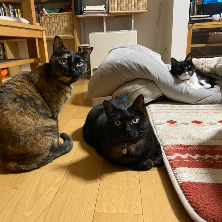 3b2aa10e d024 4a18 87a6 5dd4b9c8b3b0 1677074514856