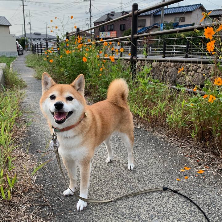 3b2ac294 ad14 4763 ba9f 3263a636771d 1569580031026