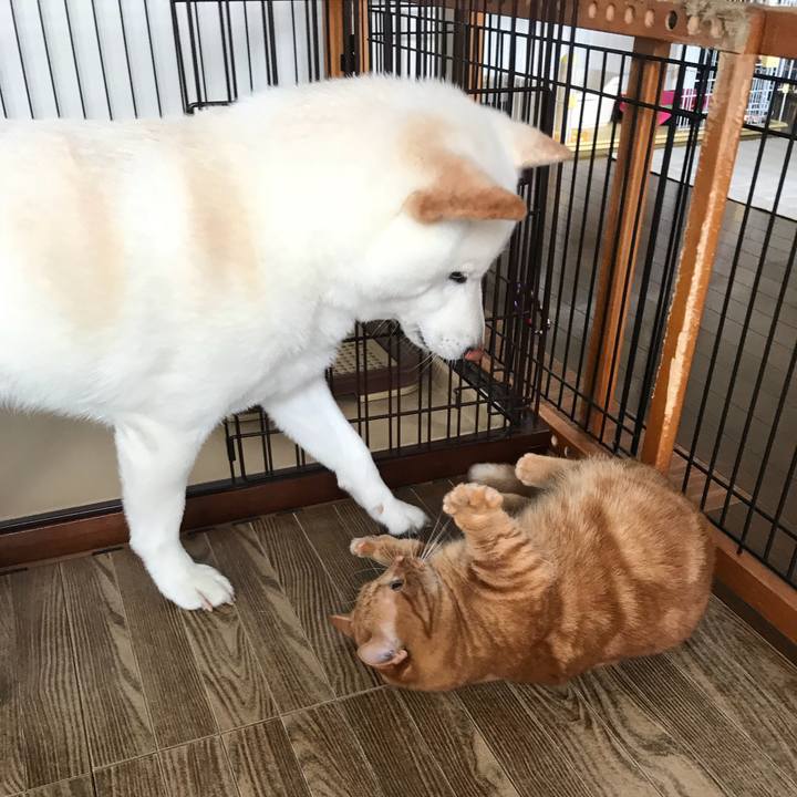 3b2b0b8f 2294 4b19 af65 fd7e1bd15742 1528245360491