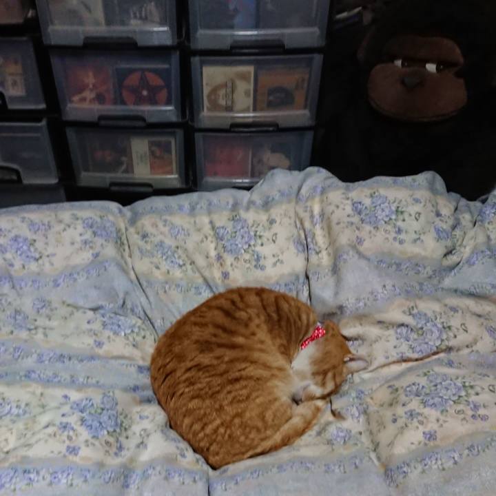 3b2b6442 c4a9 4028 86ca d09545b0ad37 1576751046811