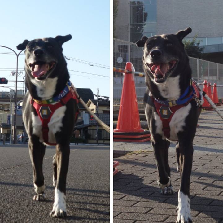 3b2b8d42 100a 4144 baea 8ab836970fba 1667522064900