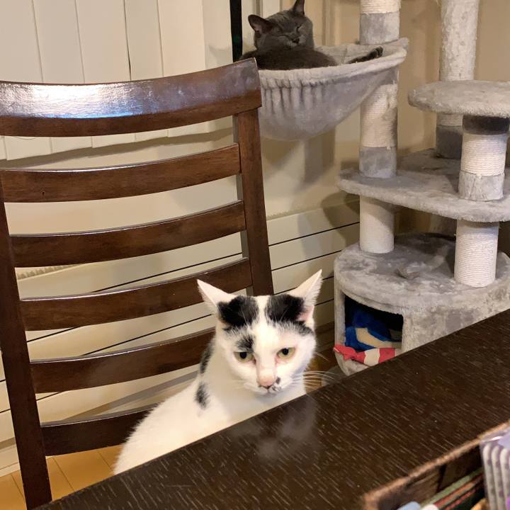 3b2ba6e2 a013 4b1e a39d 704a7f43b114 1764592304413