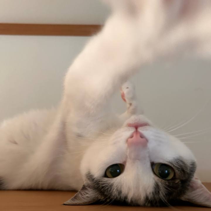 3b2bc047 5c49 42a6 b3c5 06bf5bc918aa 1751060323748