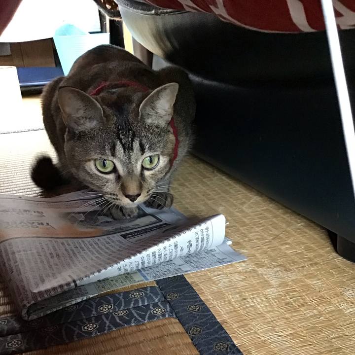 3b2bd389 c59a 4553 9915 a7d11402b548 1598930382360