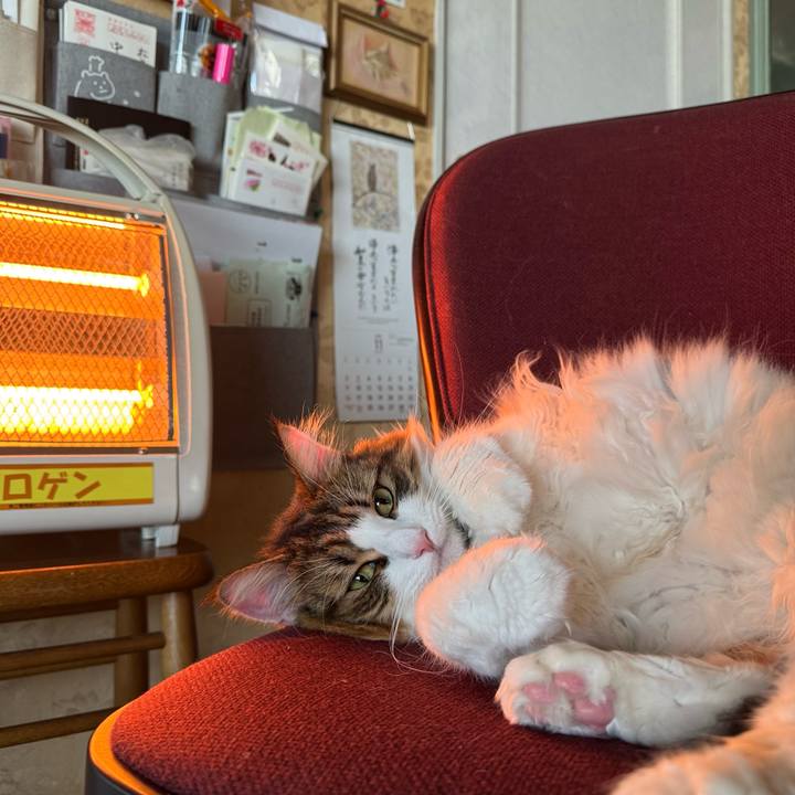 3b2bfeb6 8fa5 4067 898f 57ee8047f4b0 1764123206939