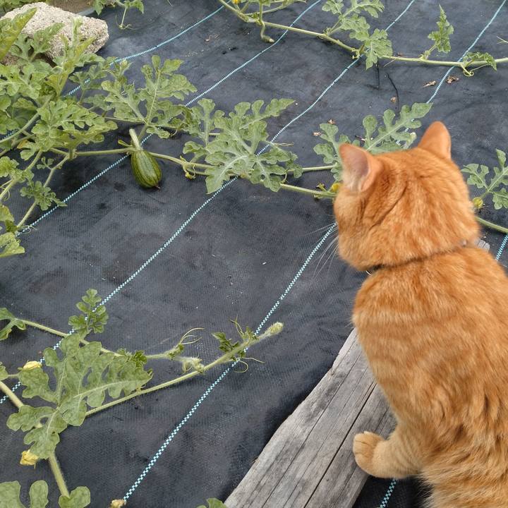 3b2c160e 8cb4 47ef 9987 a94462163cb6 1719823359227