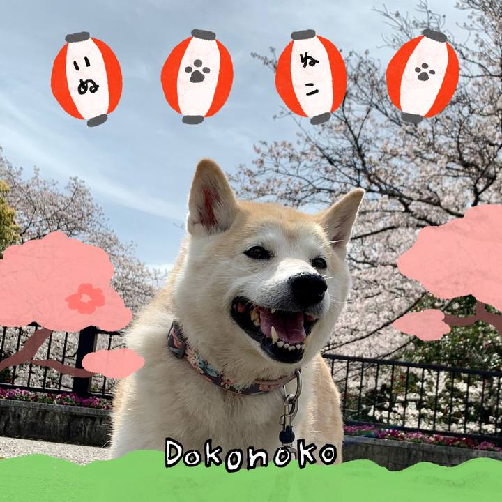 3b2c3ea0 2d49 4def b6cb e283bb486797 1712479125159