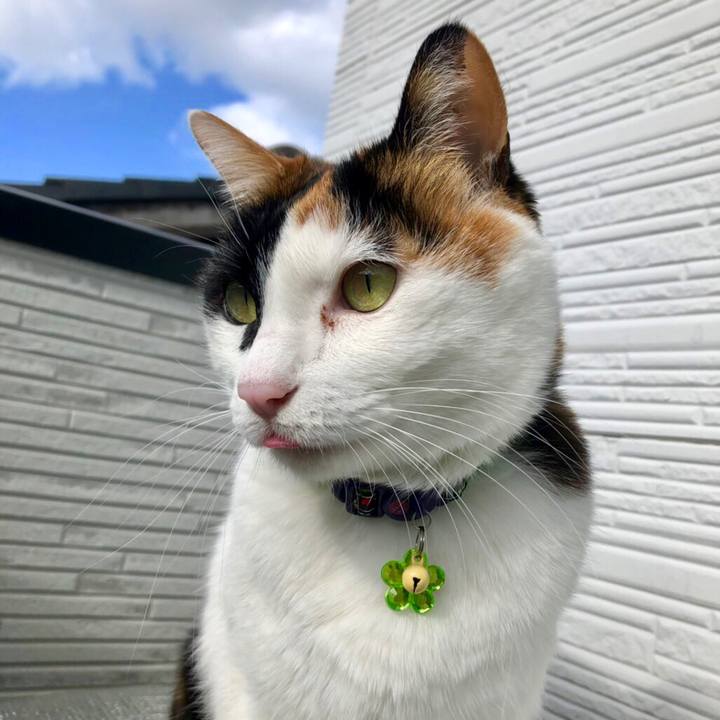 3b2c5906 7a02 4634 93fa 31ac68f3468d 1545618993084