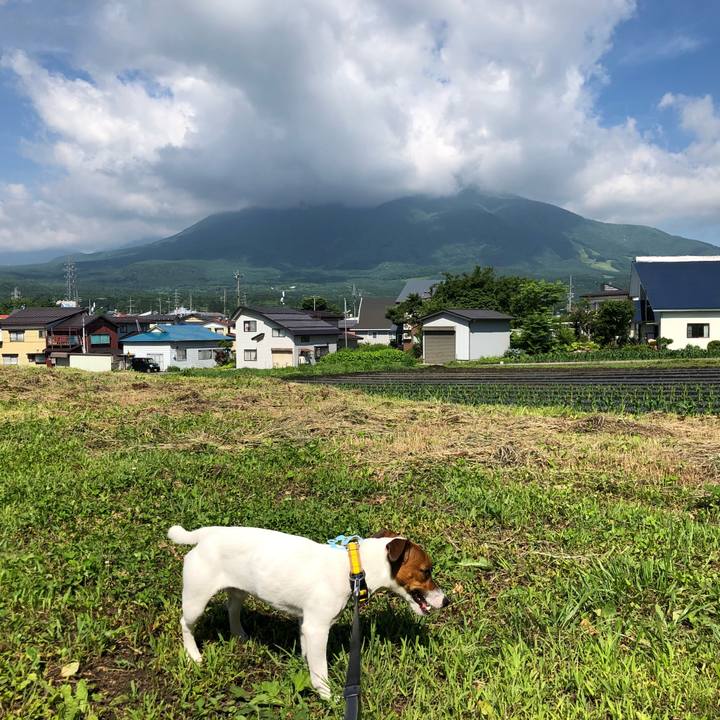 3b2c5f6f d36b 4c6c a0b6 feb20d190660 1529624863771