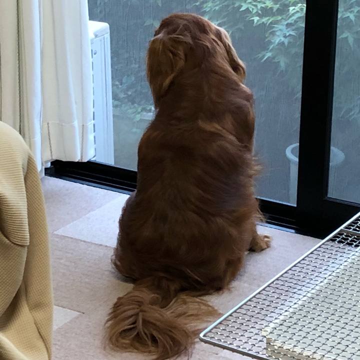 3b2c63ba cca6 41e8 aafc 3088045cd717 1526815525466