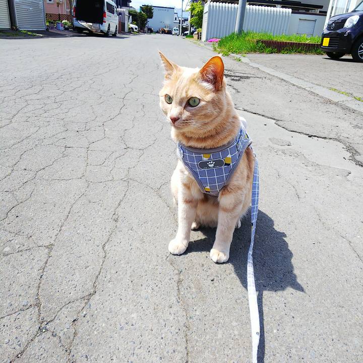 3b2c668c 3fe2 4bd0 b8e4 a1802cb300de 1652585724605