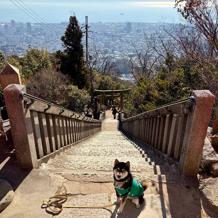 3b2c9504 dc5e 4c37 a185 f2e1001c3fe8 1768048923968