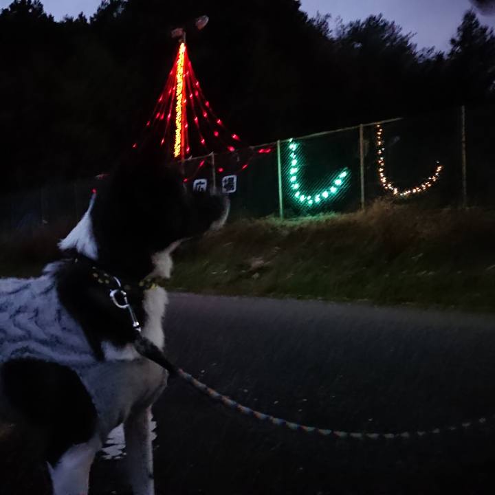 3b2c9ccf 87d3 41e8 8f52 7daf893d8987 1546080001737