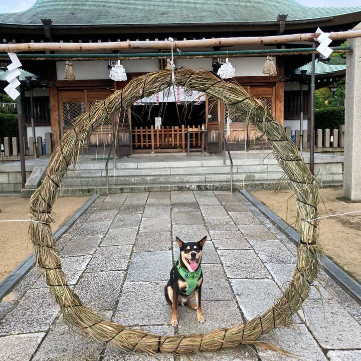 3b2cc405 a17d 42e3 afb8 0a4c6d2714dc 1625408174623