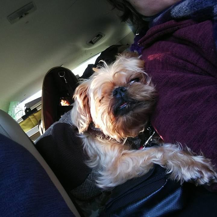 3b2ccc51 7e21 441b 9888 d1f19d313052 1511568711184