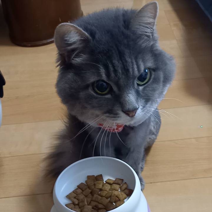 3b2ce3c4 14c5 43a3 ad9a 0d04600d9939 1654290093639