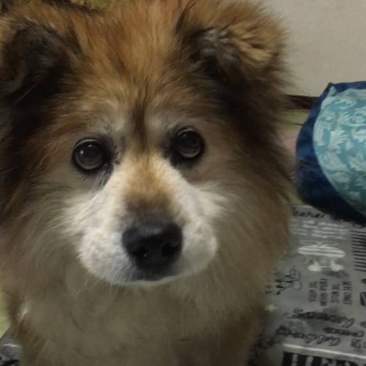 3b2ceaec fcbb 40cd 853f b37168cd0bd0 1563078876488