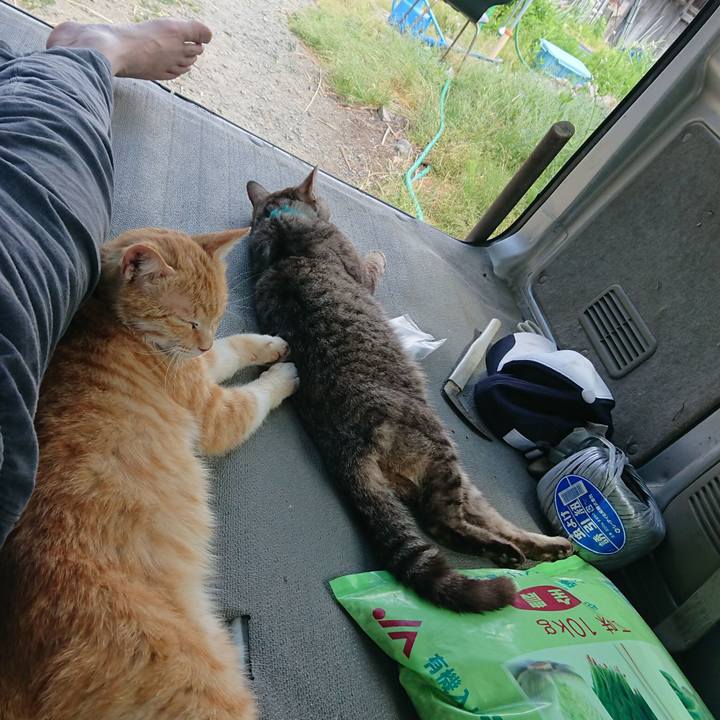 3b2d2068 ced4 4c02 9d7d 4a8ba69eb8ab 1559372193172