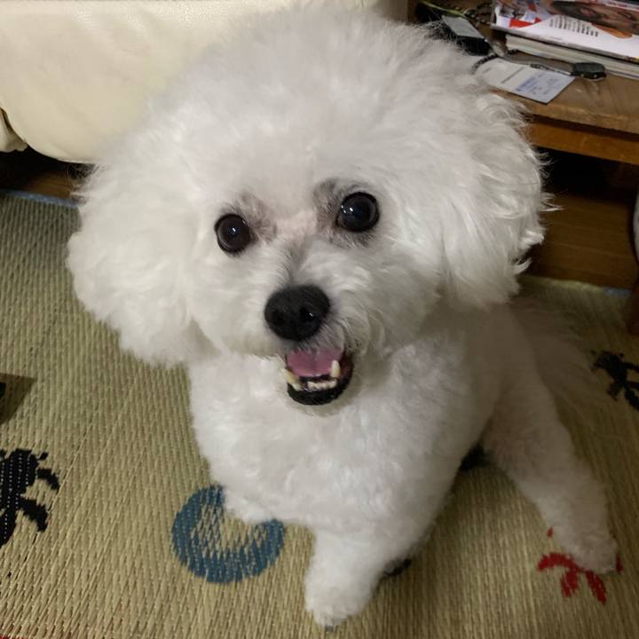 3b2d39a0 3acb 4e6f a3a6 19c7b7e69526 1568117508112