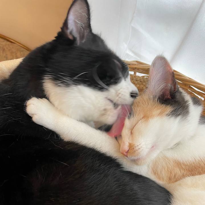 3b2d8050 4194 4a89 b8c5 3d7bb913a3fb 1669852653036