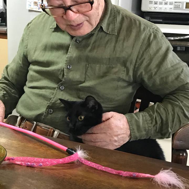 3b2d8d64 bb7d 45fc bba2 ea39e5b00178 1527427685033