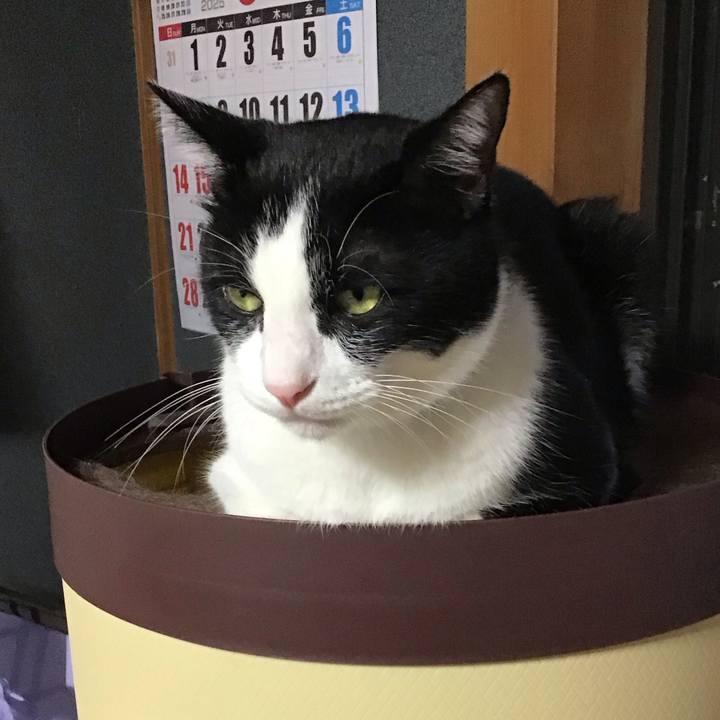 3b2dad38 b739 46fd be37 42ff59538517 1757760102373