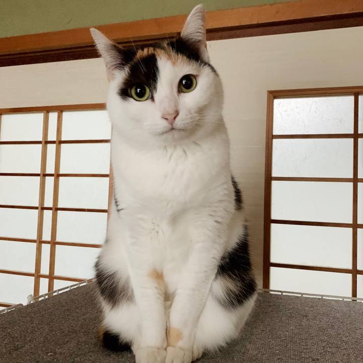 3b2db691 fc82 419b 881d 97382baa038f 1553131163013