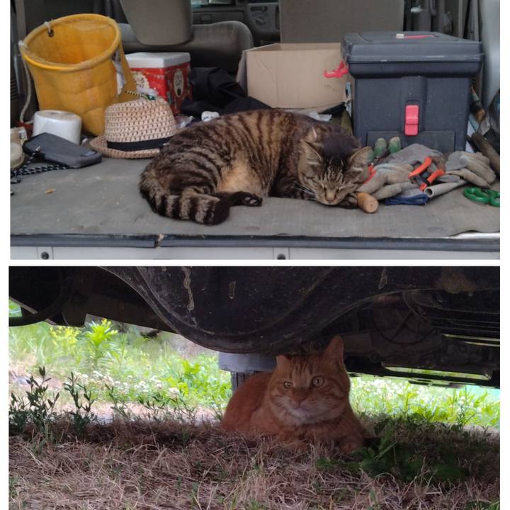 3b2db697 dca5 42f2 ba30 e3a71ee4c88b 1719729455904