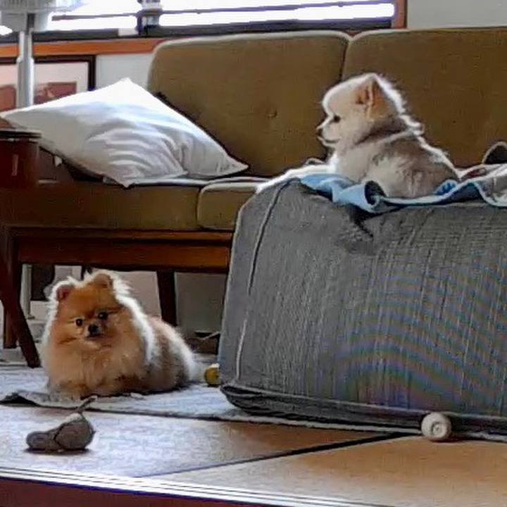 3b2dc4d8 7042 49d9 b472 f7b206a32062 1680649079590