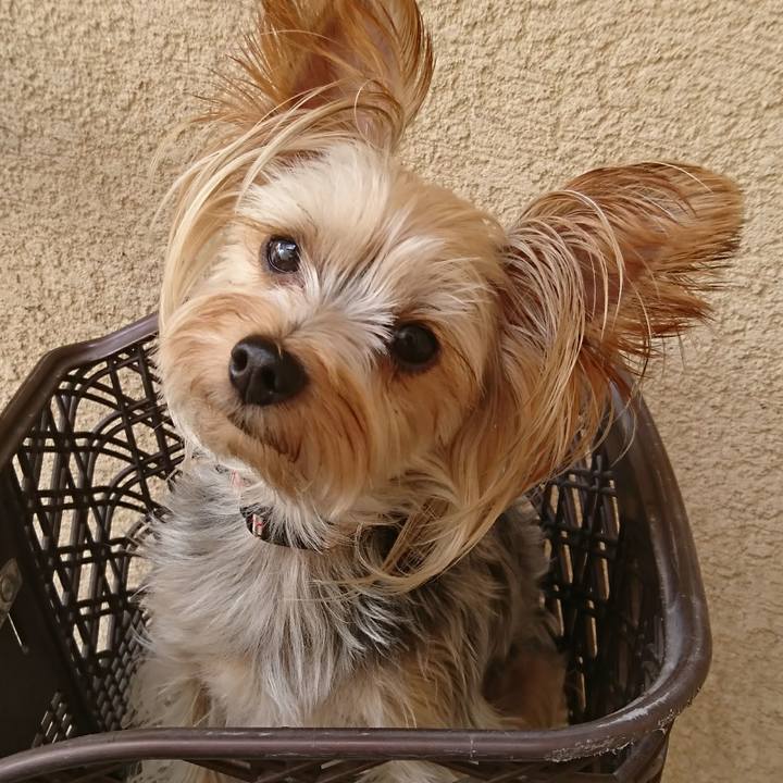 3b2dde1d 3a8c 45fa 9de3 d6f74a866a63 1535755828166