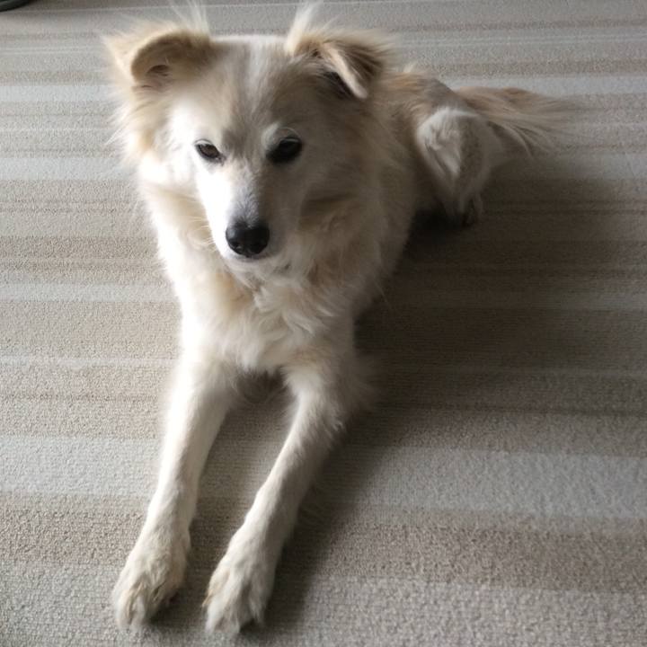 3b2dfb4e ede3 4746 af4b 5356113bbcf8 1517378193851