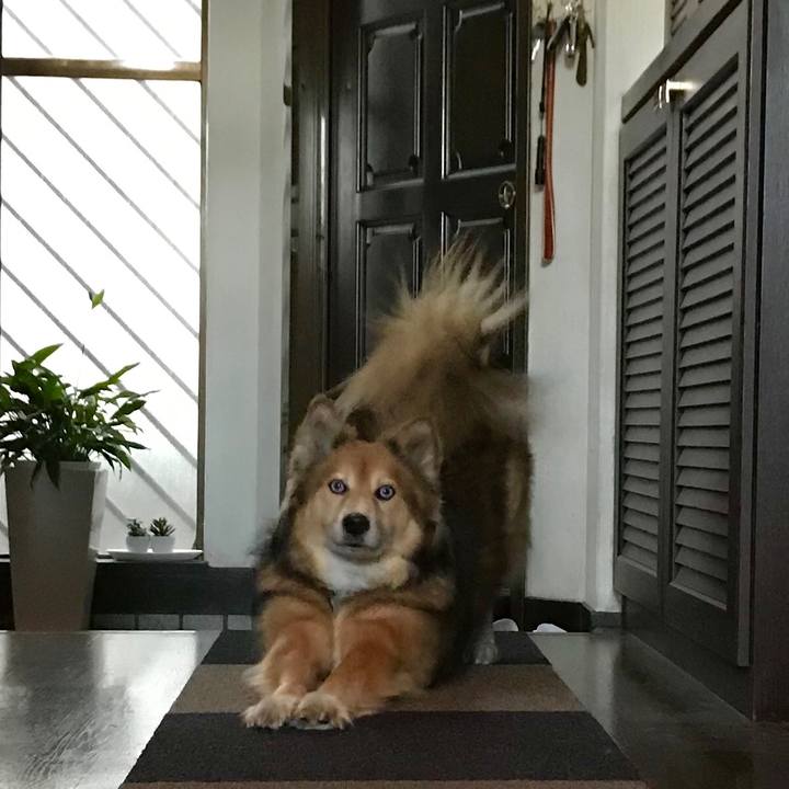 3b2e3422 b426 4cb8 8622 64aea95b4932 1549006356583