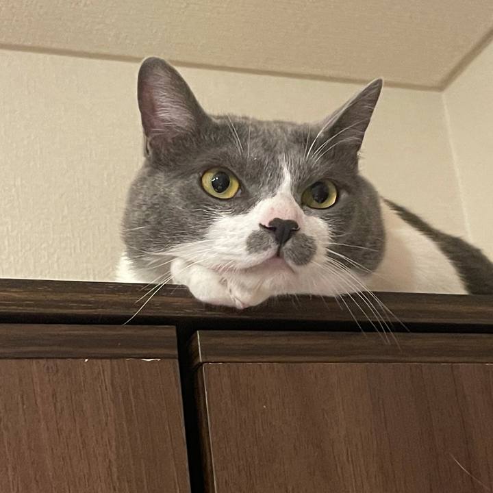 3b2e385c 49fc 4824 9cdc 84a1afae5c9b 1623751894946