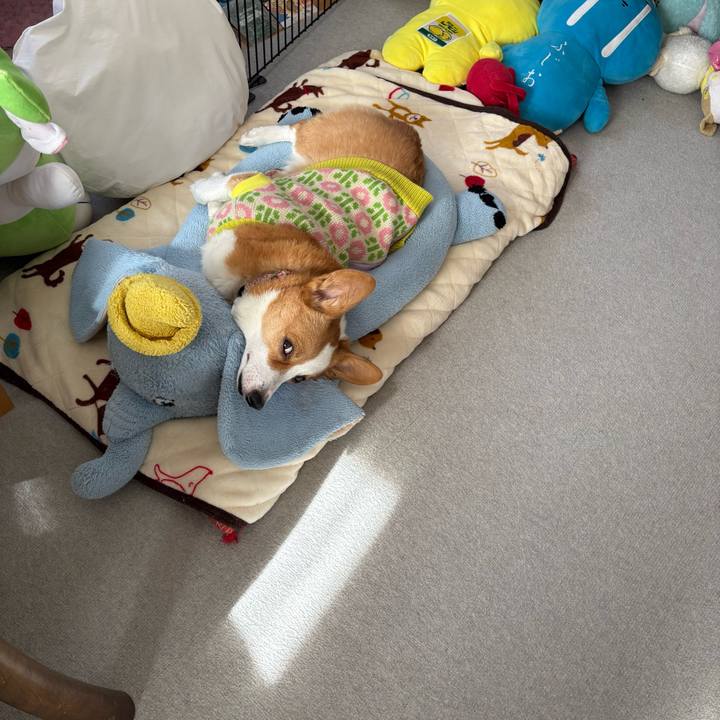 3b2e653f f1cb 4f72 89d8 947ca1c09b87 1769662069444