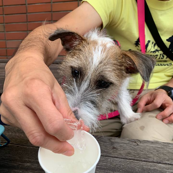 3b2e72d1 580e 43fb 86d0 109298c2daf4 1569151750324