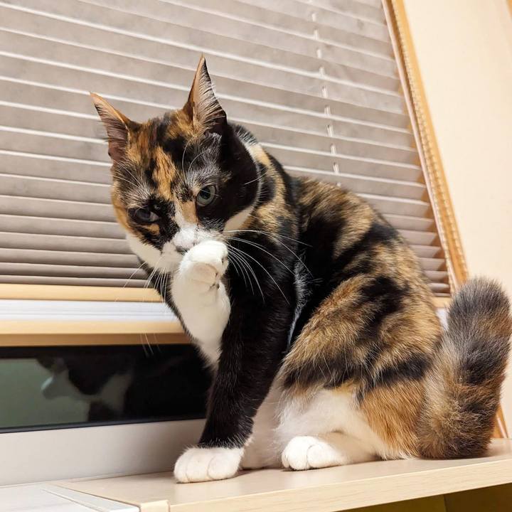 3b2e7a27 2dc3 4d82 a246 3a7ac1b1045b 1702180582284