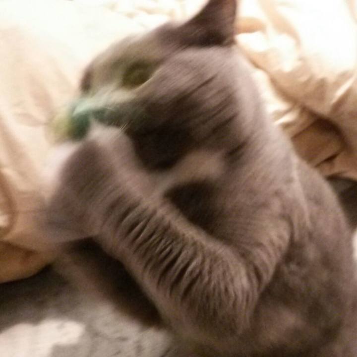 3b2ea4a4 c9e0 433d 9bd6 9b52b0d4768d 1589080656207