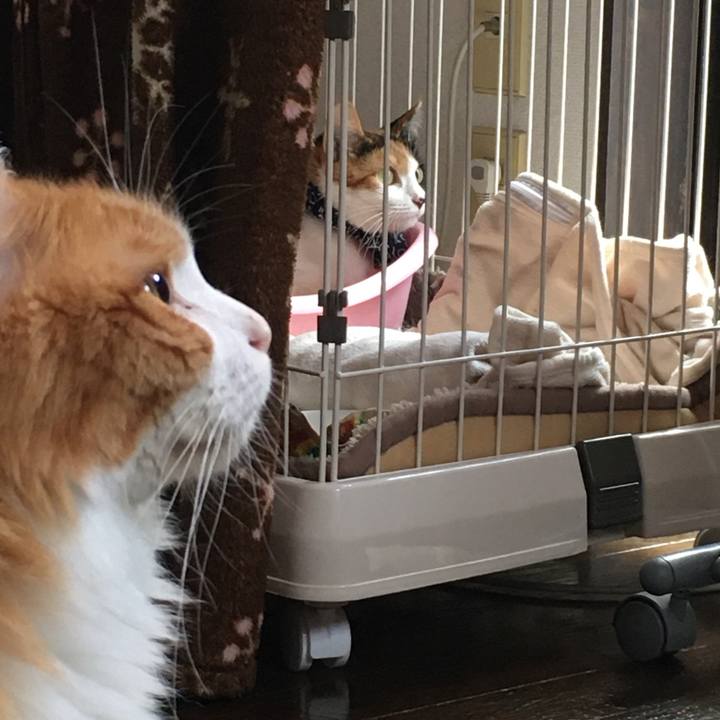 3b2ea4c1 76a4 41d2 9ae7 62d8a9df242b 1572312669949