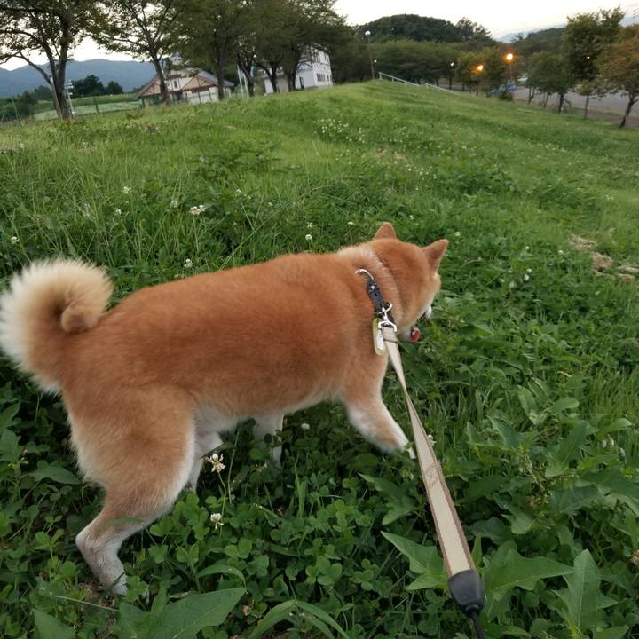 3b2eb977 fc17 4b59 9cb5 0e6cf0706235 1662368604936