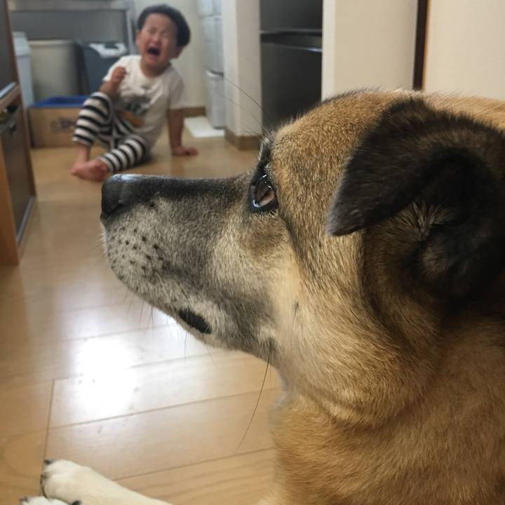 3b2ee22d ca6d 47a3 8405 9b45bacfa9e3 1528773989166