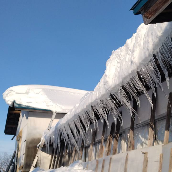 3b2eea65 d18d 4367 9608 31731a18907a 1739314327155