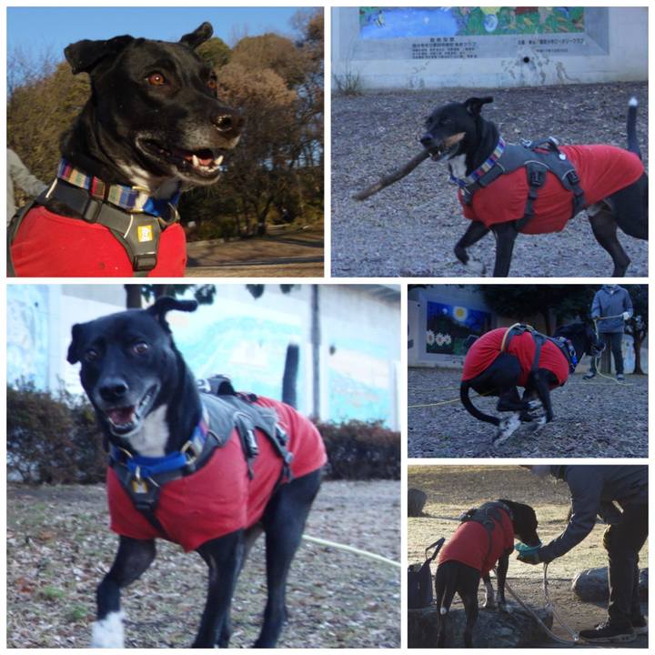 3b2f1864 d13a 44ad 8f8b e804d7e52ca5 1642294389914