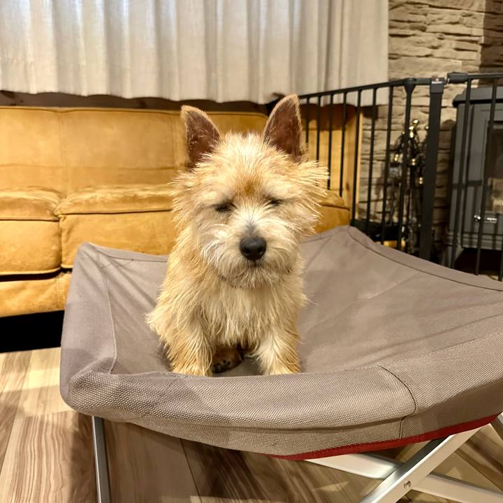 3b2f2e55 5baf 4288 8ff0 b2840c93daaf 1717141350322