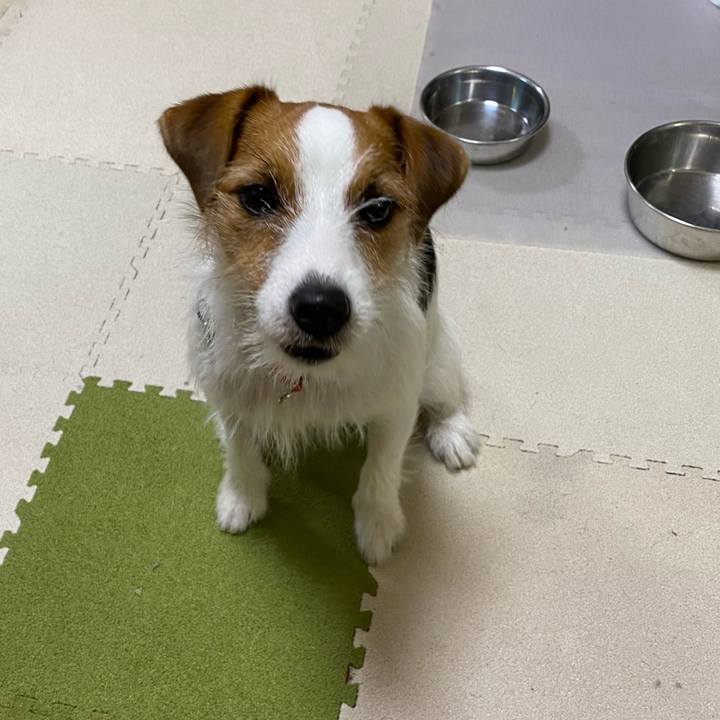 3b2f5d63 9bbe 42ac b441 3b563f0077b9 1636497510710