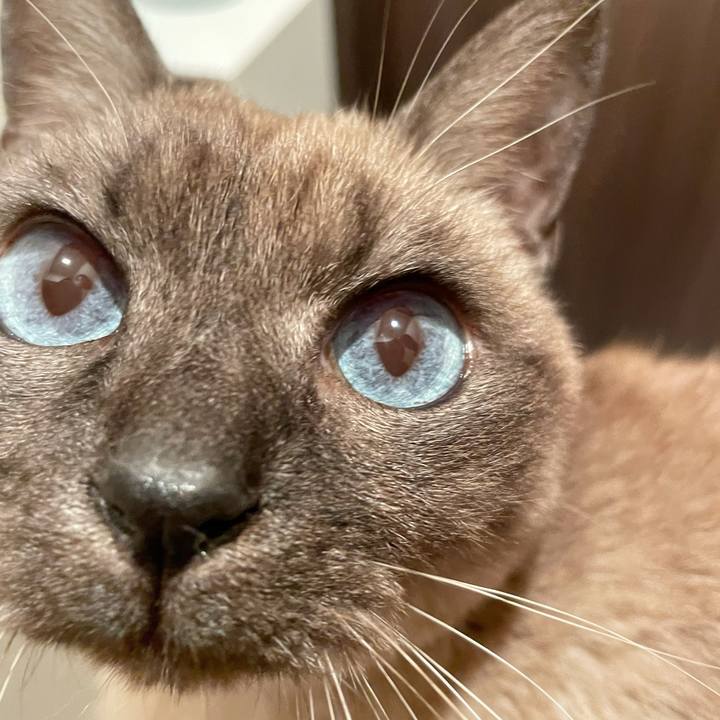 3b2f5de6 d201 45ad a77f f89a70a68032 1769829309953